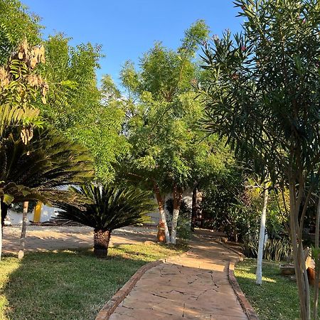 Ticul Quinta Rosita B&B 외부 사진