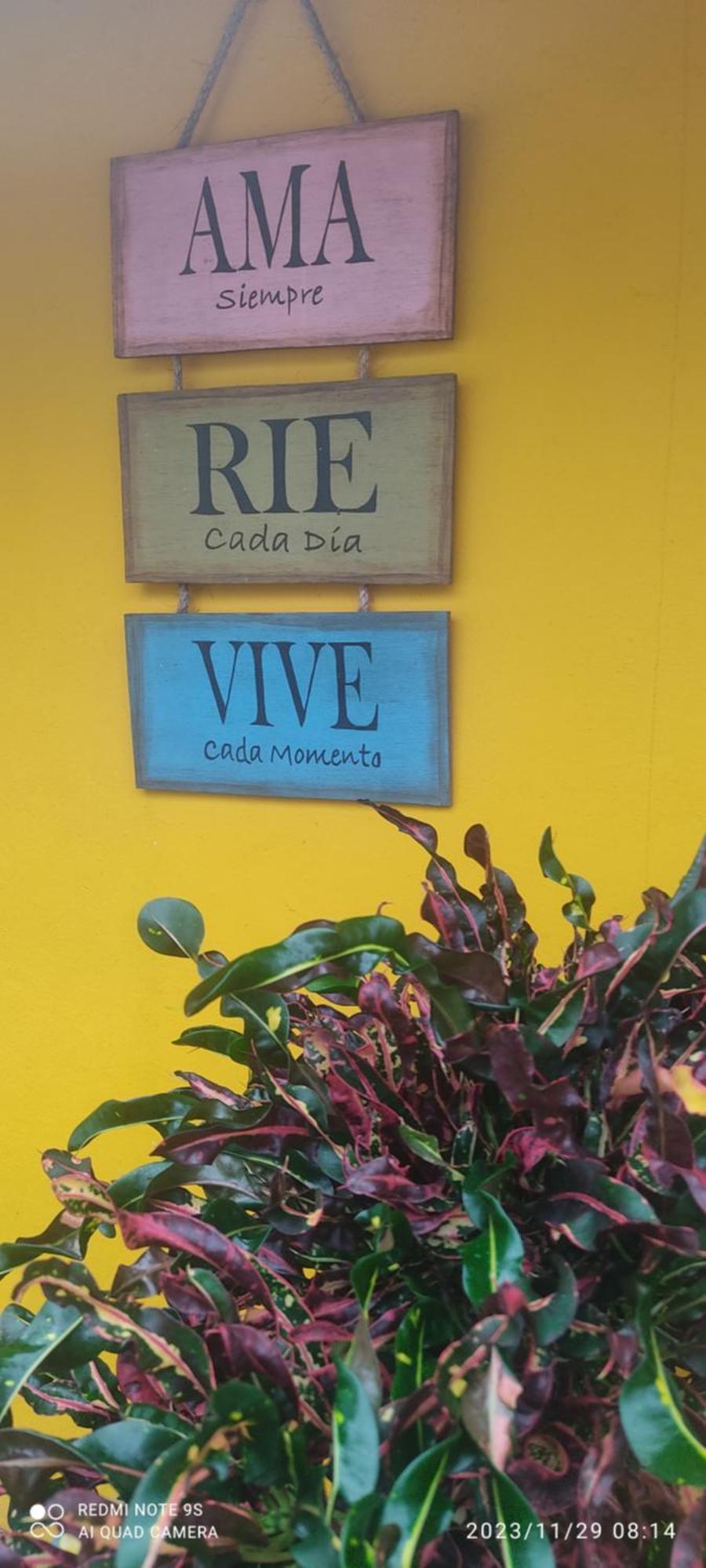 Ticul Quinta Rosita B&B 외부 사진